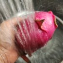 백용농장 이미지