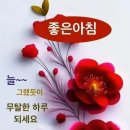 미양가