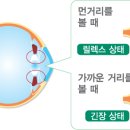 최*식 - 미추홀구 매소홀로475번길 18 | 최*식