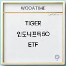 TIGER 인도니프티50 ETF 주가 배당금 수익률 구성종목 전망 이미지