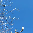 덕유산 자체가 멋있는 곳도 많고, 겨울 설경도 좋지만, 이렇게 푸른 하늘을 만날 때 더 감동한다.. 이미지