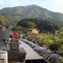 희자네민박 이미지