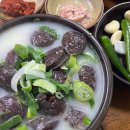 충남 | 거제 맛집 충남식당 후기- 거제 고현시장 근처 현지인 맛집 👍🏻🌶️