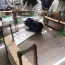 당진중학교대호지분교장 이미지