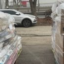 펫클럽 양정점 이미지