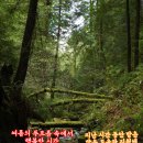 호연지기