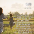 엄마마음