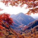 장성군청 광장 이미지