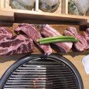 신어류기 이미지