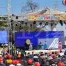 다채로운 솜사탕