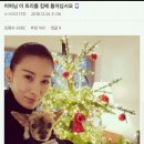 동경통닭 이미지