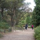 만리장벌 이미지