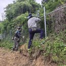 숲깊은 농장 이미지