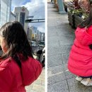 팀디자인 이미지