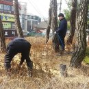 소나무세탁소 이미지