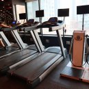 월드휘트니스 이미지