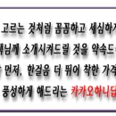 비비드포인 이미지