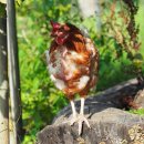 복지송파충전소 | 복지24 혜택과 이용 가이드 완벽 정리