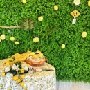 표선안경 이미지