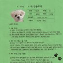 1466 | [#1466] 이몽실(양측 슬개골탈구 G3)의 수술후기