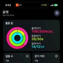 민;화원