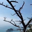 치도(불무섬) 네이버블로그