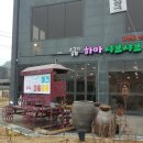 두리애견용품 이미지