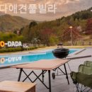 우다다애견 이미지