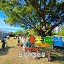 제주의 봄을 만끽! 서귀포농업기술센터 '귤꽃계절소풍' 5천 원의 행복 후기 ​
