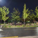 한우명가일번지 이미지