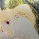 제현전자 이미지