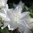 이천(하남)휴게소 이미지