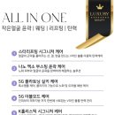 샤이닝에스테틱피부관리
