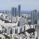 신흥부동산중개 이미지