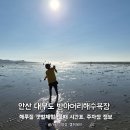 방아머리공원(주차장) | 안산 대부도 방아머리해수욕장 당일캠핑 해루질 갯벌체험, 물때 시간표, 주차장 정보