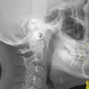 강남미켈란의원 이미지