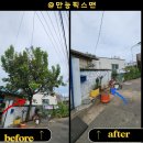 (주)서평택총판 | 나무벌목비용이 궁금하다면, 평택 단독주택벌목작업 사례