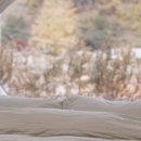 리스테이 이미지