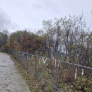 김광석길 쌈지공원 | 화악산 : 화악터널 쌈지공원 ~ (임도길) ~ 중봉정상 ~ 원점회귀 (25.10.18)