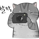 유엔아이 소프트 이미지