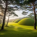 평산상사 | [2026 뿌리 찾기] 왕의 옷을 입고 죽은 충신! 평산 신씨 '사만시공파'의 위대한 유산 (ft. 황금 머리 전설)