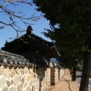 돌담 이미지