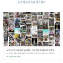 11월6일~ 샐러드, 샌드위치 음식점 위생점검 + 식중독균 검사