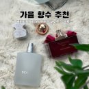 가을향수 추천 페라가모 세뇨리나 리벨 vs 토스 콜로뉴 향 비교 후기
