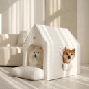 반려견 이해하기(펫) 이미지