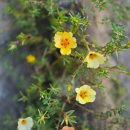 인재숲협동조합 이미지