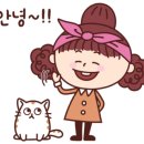 제주가좋다 이미지