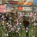 신성타워공인중개사사무소 이미지