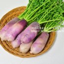 보라2통 이미지