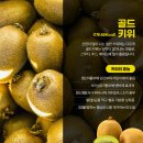 바른과일 이미지